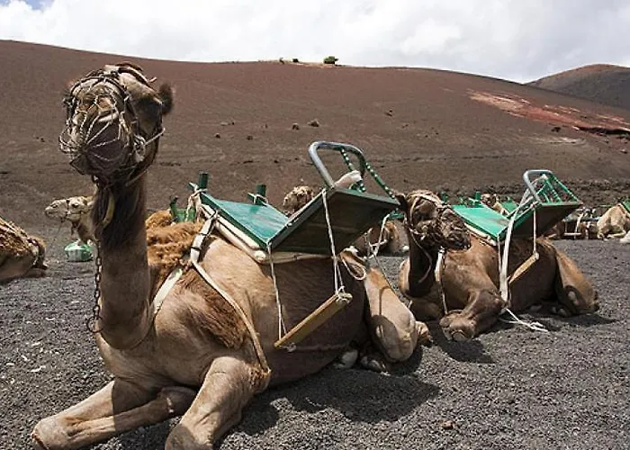 Διαμέρισμα Calypso, Completo Con Vistas Al Mar Y A La Piscina En *